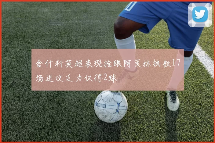 舍什科英超表现抢眼阿莫林执教17场进攻乏力仅得2球