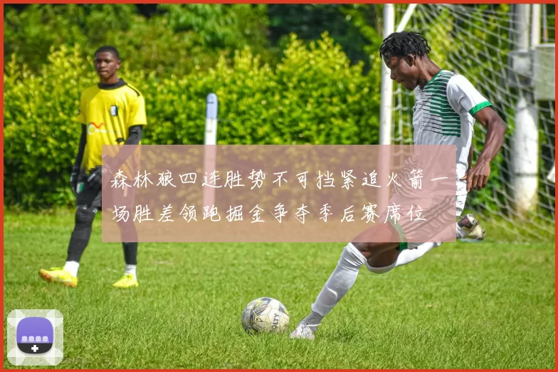 森林狼四连胜势不可挡紧追火箭一场胜差领跑掘金争夺季后赛席位